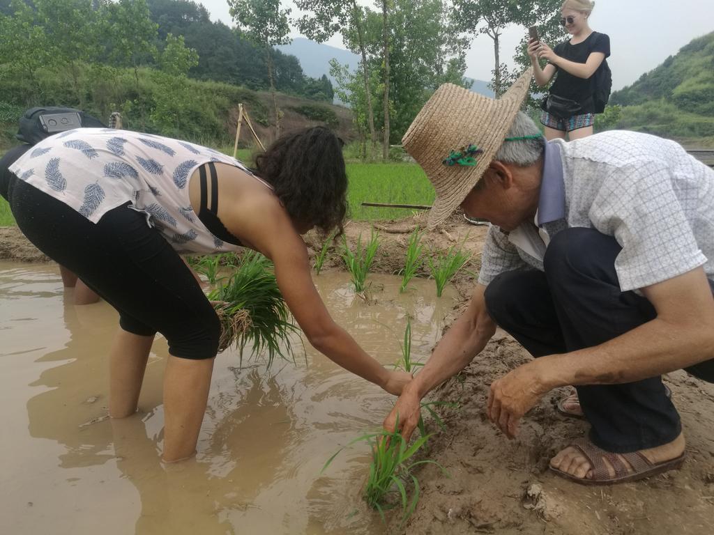 Zhangjiajie Jijiehao Inn מראה חיצוני תמונה